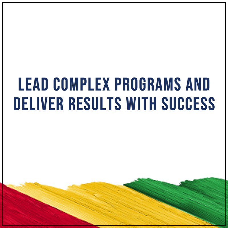 Lead complex programs and deliver results with success